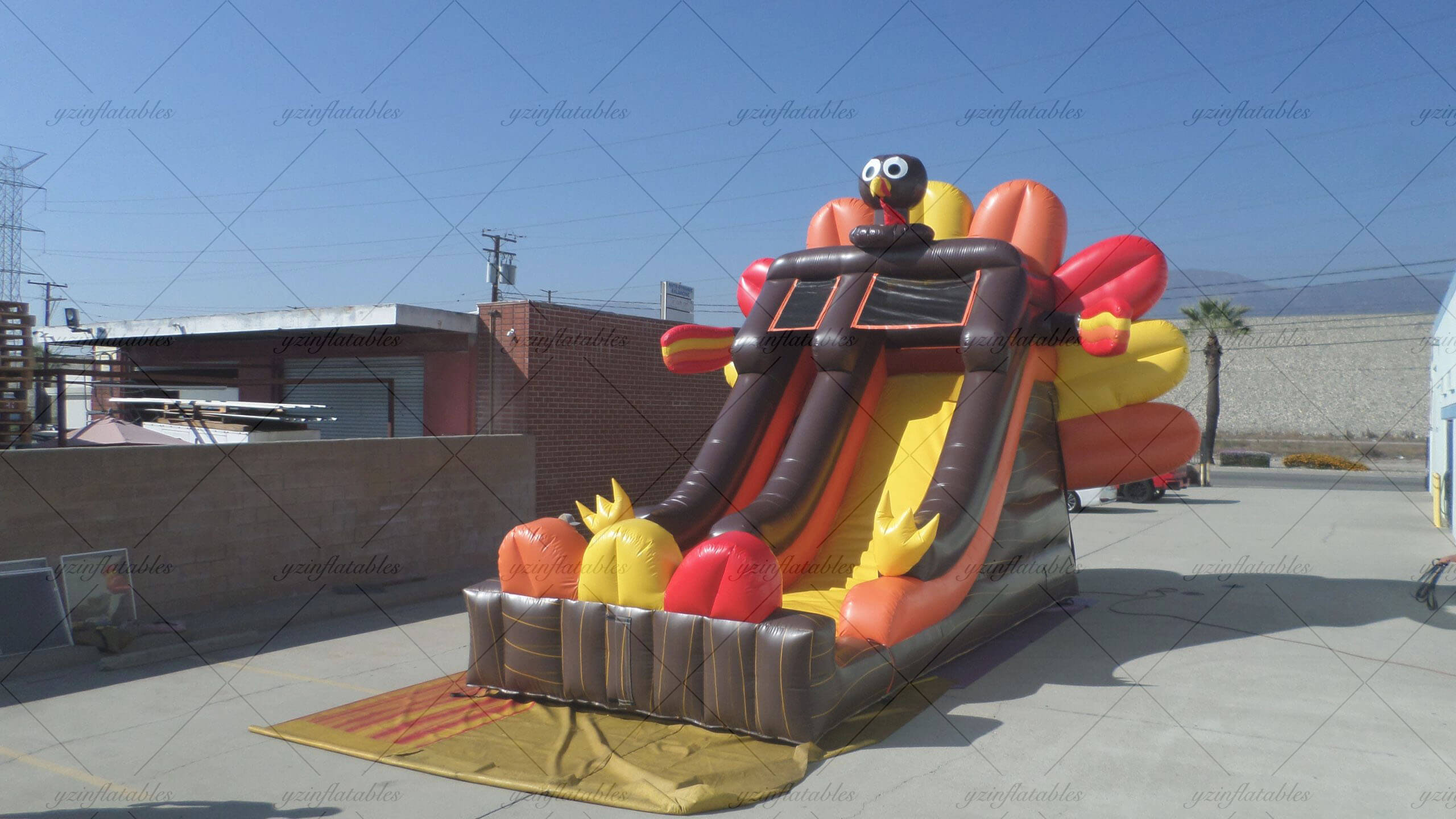 Beach Party House